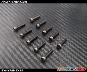 YFS Screw M3X14Hex - 10pcs